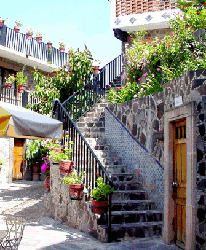 Patio del Bar